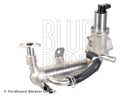 EGR Module